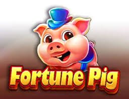 Platinum tier: maximum cashback and exclusive birthday bonus Platinum tier member badge and premium benefits